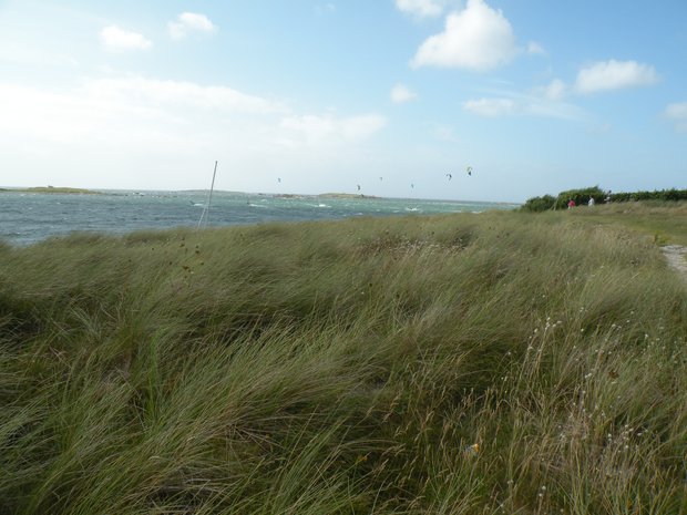  côte sauvage
